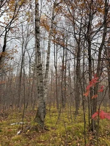 Lot 10 Silver Birch Drive, Cable, WI 54821