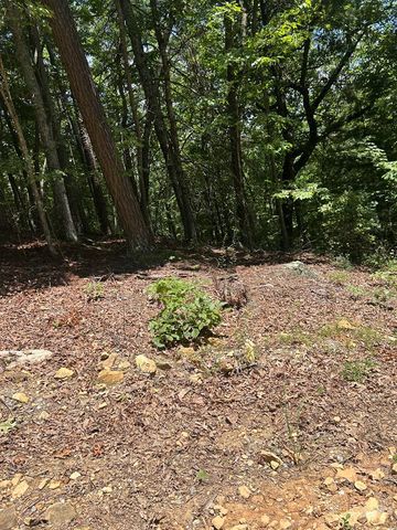 Skyview Acres Dr, Murphy, NC 28906