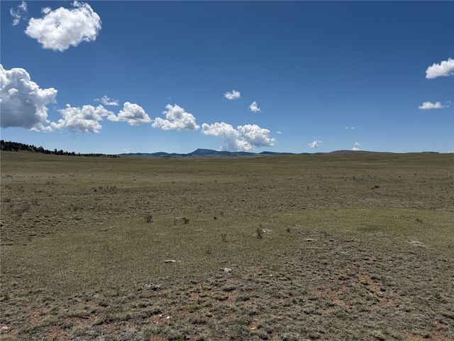 1338 Chimapavi Trail, Hartsel, CO 80449