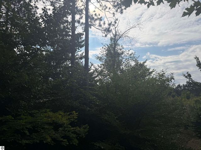 King Rd, Benzonia, MI 49616