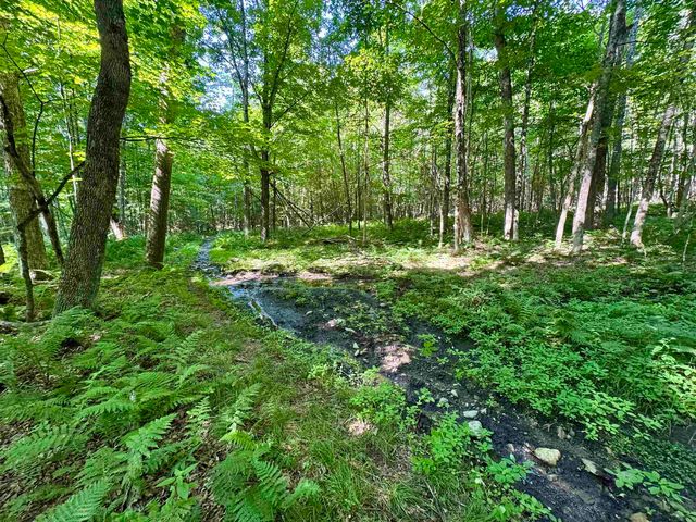 00 Mountain Road, Bath, NH 03740