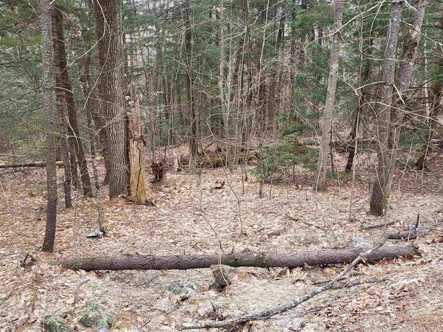 410-089-001 Eastern District Road, Danbury, NH 03230
