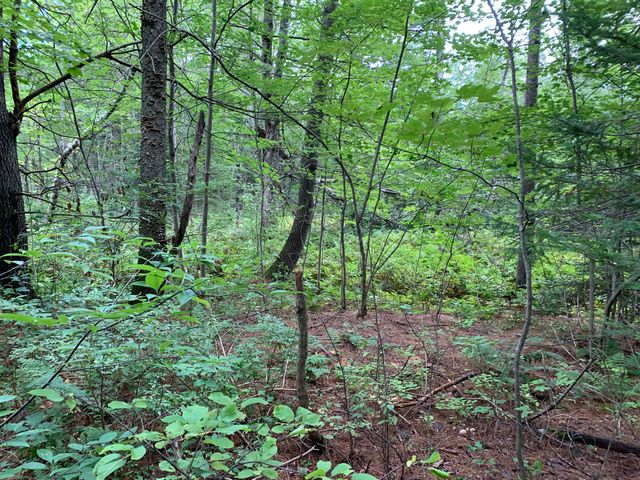 Lot 7 County Road, Livermore Falls, ME 04254