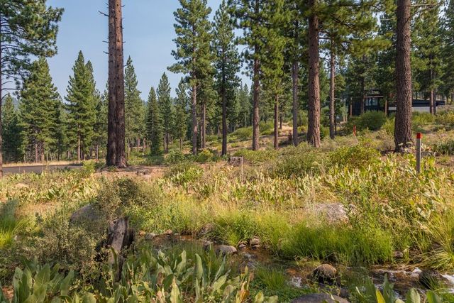 2412 Newhall Ct, Truckee, CA 96161