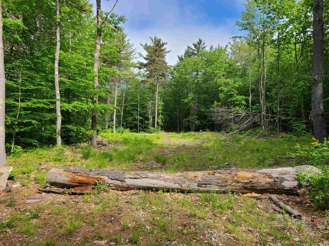 00 Trask Mountain Road Tract 4, Whitehouse/Moulton Lots, Wolfeboro, NH 03894