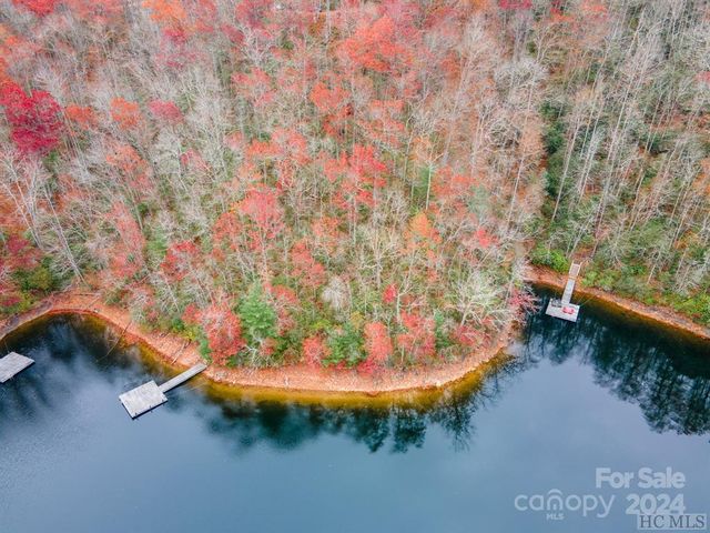 Trout Lily Ln, Tuckasegee, NC 28783