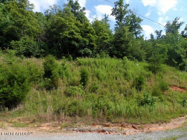 592 Whistle Valley Rd, New Tazewell, TN 37825