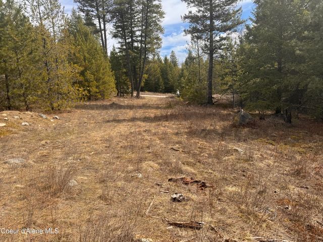 Nka E Lowland Dr, Athol, ID 83801