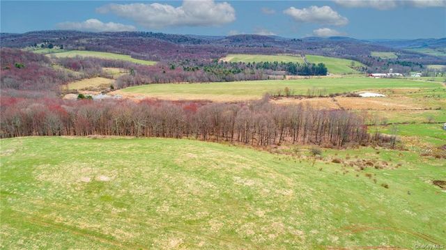 Lot 3.2 Peters Road, Fremont Center, NY 12736