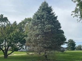 1227 Teson Rd, Hazelwood, MO 63042