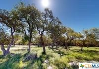 840 Forest View Dr, Blanco, TX 78606