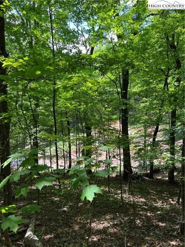 lot 50 Fire Pink Road, Boone, NC 28607