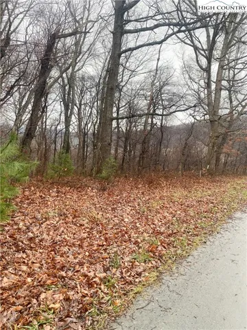 Lot #7 Tom's Knob, Sparta, NC 28675