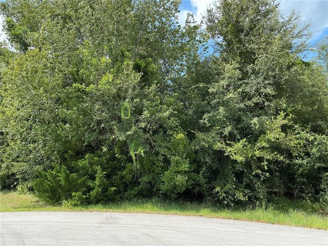 DOGWOOD TRAIL RUN LOT 6, Ocala, FL 34472
