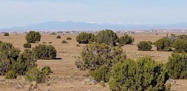 Town Road 1 A Larson Rd, Moriarty, NM 87035