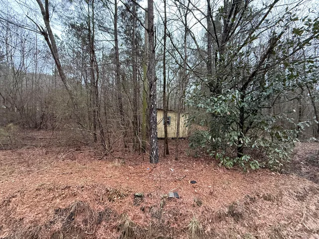 State Highway 124, Jasper, AL 35501