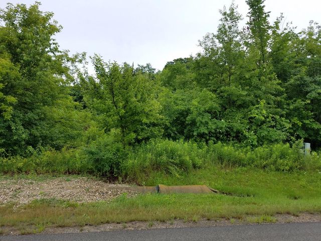 39587 Orchard Bluff Ln, Wadsworth, IL 60083