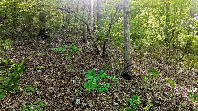 Lot 5 Silvercliff Way, Reeds Spring, MO 65737