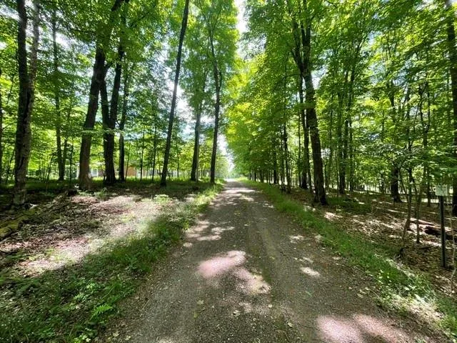 7311N Universal Drive, Winter, WI 54896