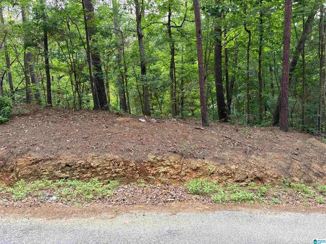 Lot 23 Teddy Dr, Mc Calla, AL 35111