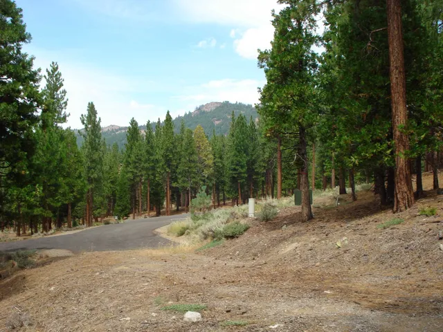 307 Big Cedar Ln, Portola, CA 96122