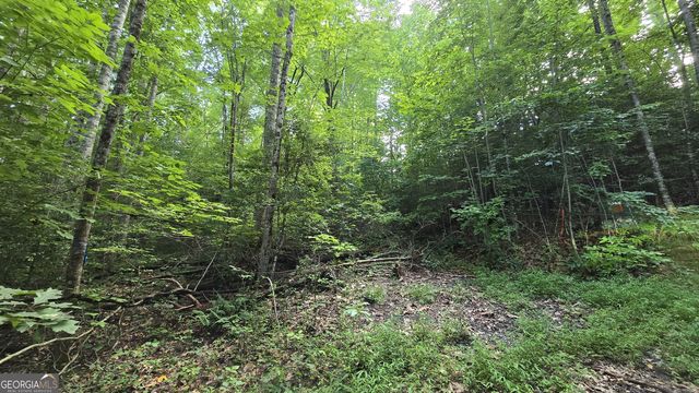 Lot 14 Kilpatrick Point Ter, Hayesville, NC 28904