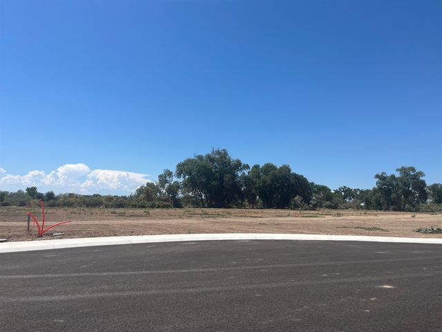 969 Hay Bale Ct, Fruita, CO 81521