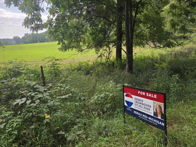 Crispell Rd, Clarklake, MI 49234