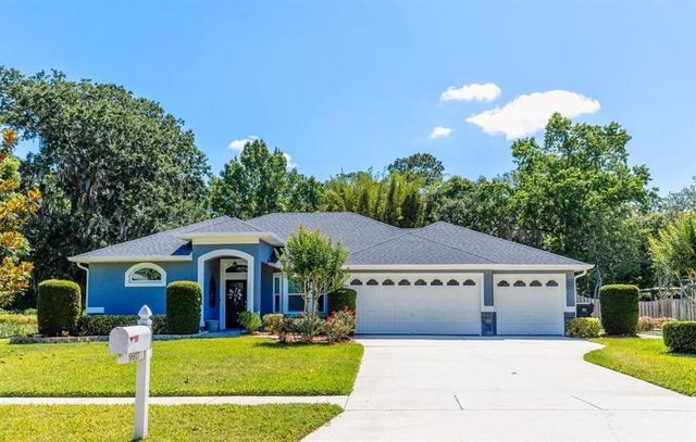 9917 Country Carriage Cir, Riverview, FL 33569