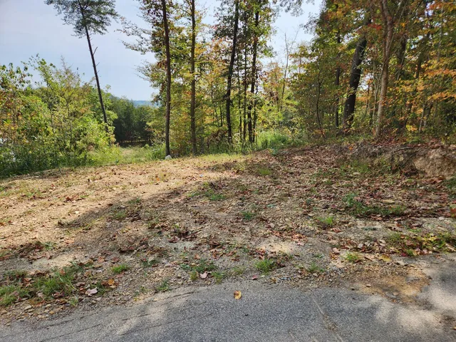 3 Routt Rd, Wallingford, KY 41093