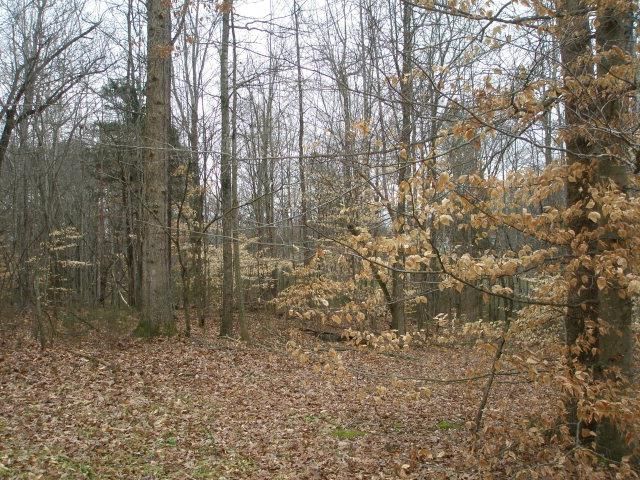 Lot 13 Stonewall Dr, Cookeville, TN 38506