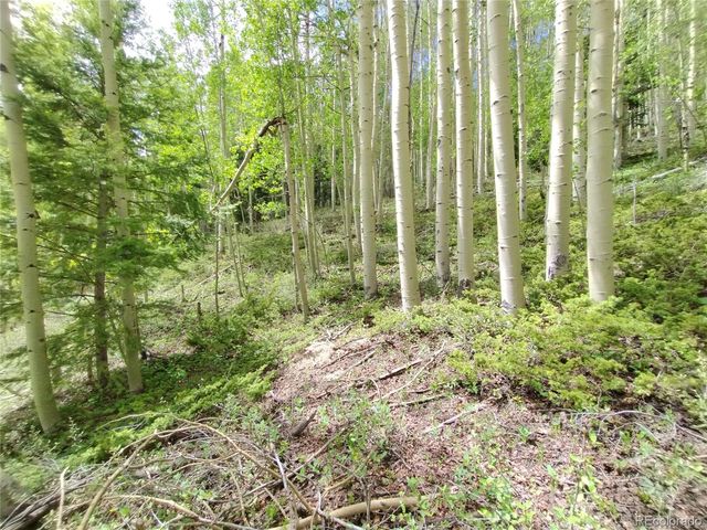 Lot 5364 Slegers Road, Fort Garland, CO 81133