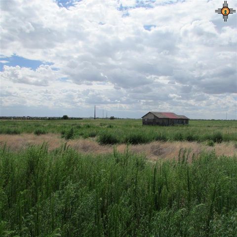444 S  Roosevelt Rd   S  #O, Portales, NM 88130