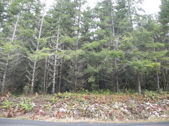 Cleveland Rd   #2300, Vernonia, OR 97064