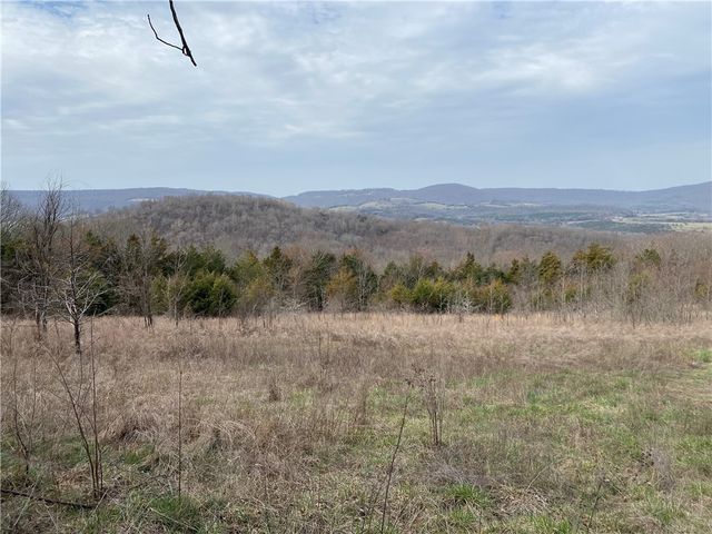 374 Acres Cres #995, Green Forest, AR 72638