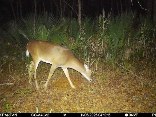 Highway 18 #WP001, Cheneyville, LA 71325