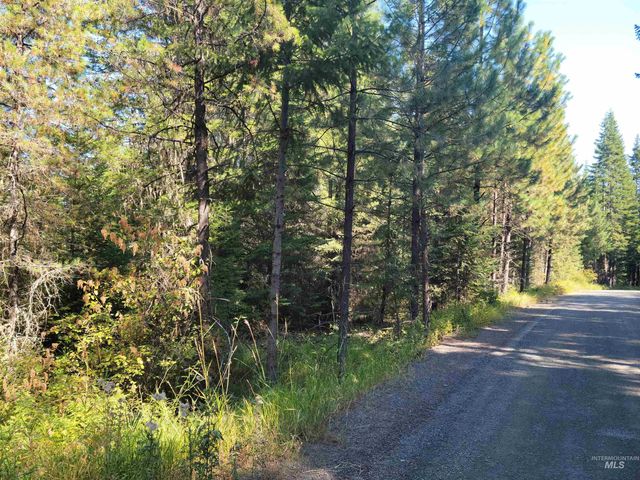 Lacey Meadows Rd, Weippe, ID 83553