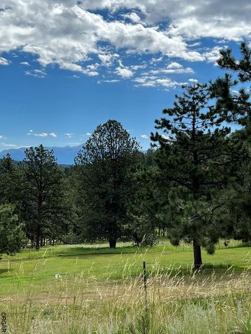 286 Cambell Ln, Florissant, CO 80816