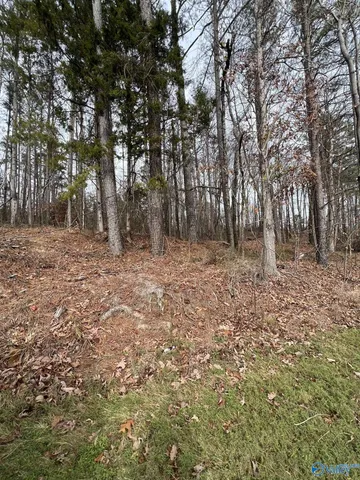 5627 State Highway 227, Guntersville, AL 35976