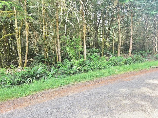 124 E Go Onna Drive, Quilcene, WA 98376