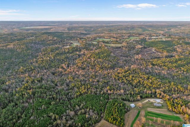County Road 328, Maplesville, AL 36750