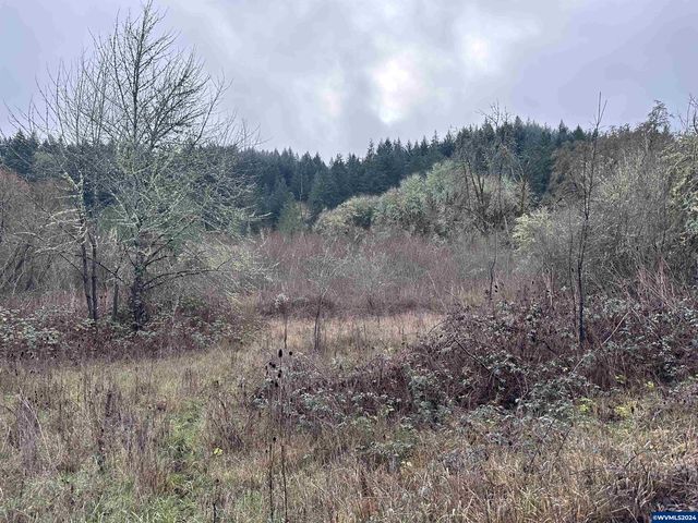 SW Peavine Rd, McMinnville, OR 97128