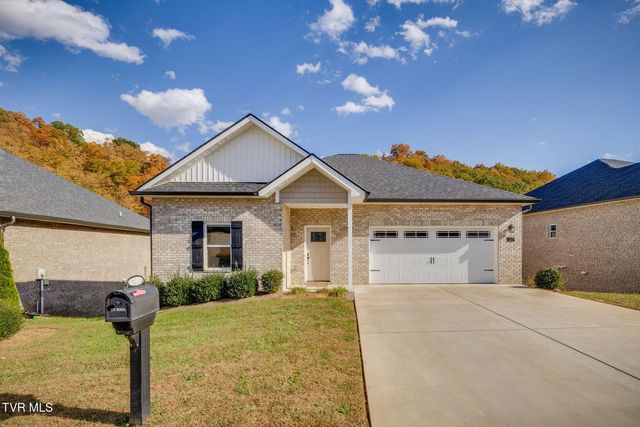 217 Quiet Stroll Ln, Johnson City, TN 37615