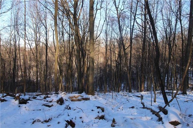Lot 169 Squirrel Rd, Evans City, PA 16033