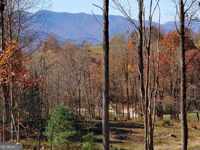High Meadow Dr, Scaly Mountain, NC 28775