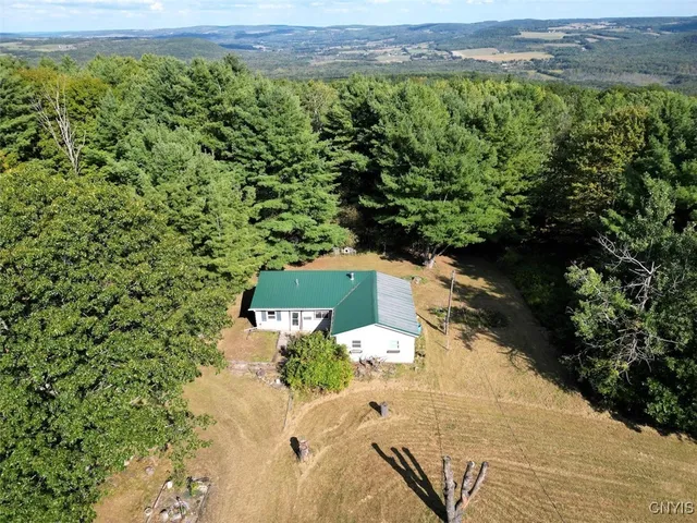 7250 Chrisler Rd, Savona, NY 14879