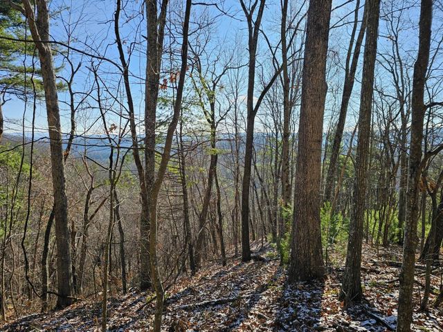 Bear Track Rd, Gap Mills, WV 24941