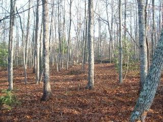Lots 5/6 Seclusion Way, Murphy, NC 28906