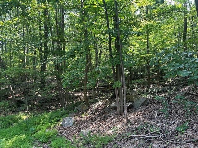 934 Skislope Rd, Acme, PA 15610