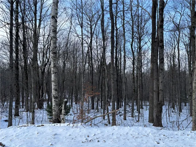 Smokey Ave, Schenevus, NY 12155